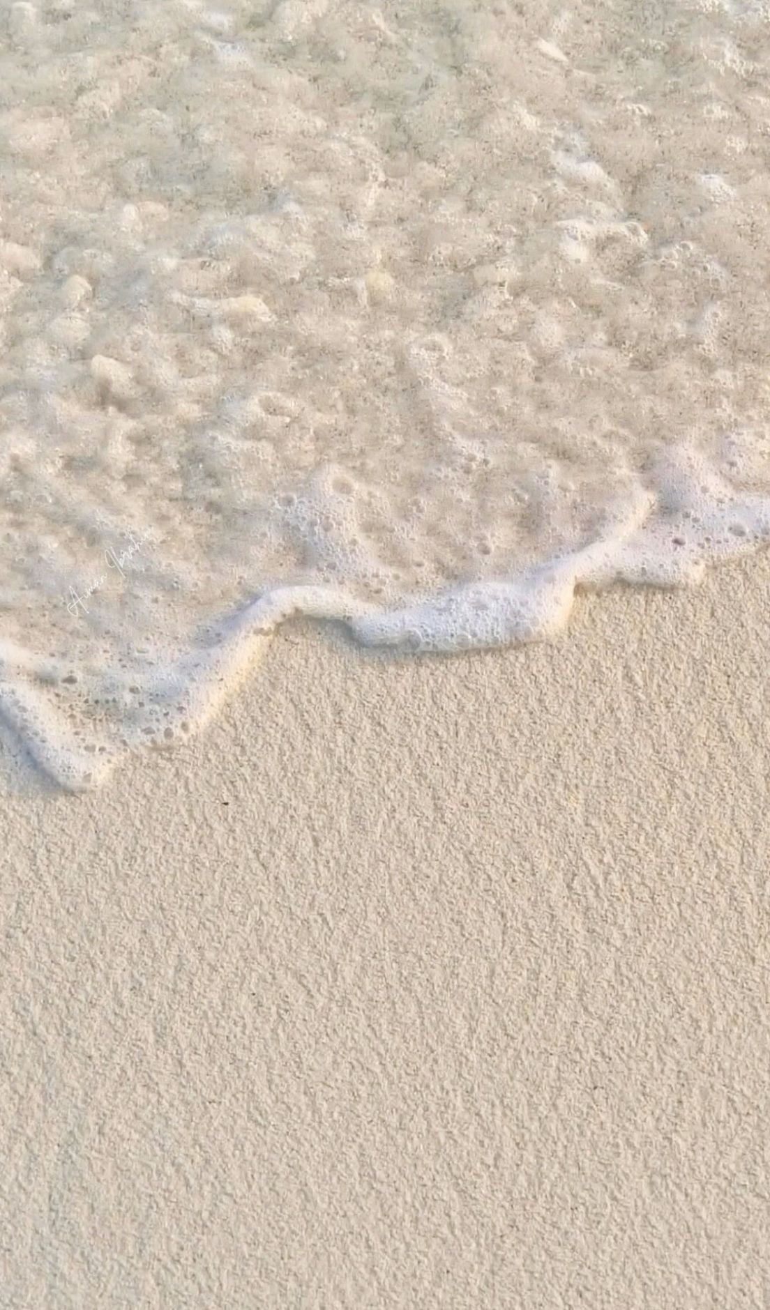 Sandy Baby 